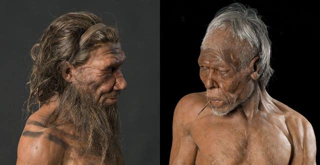 Evolutionary Split 773,000-year-old Moroccan cave fossils reveal human and neandertal ...