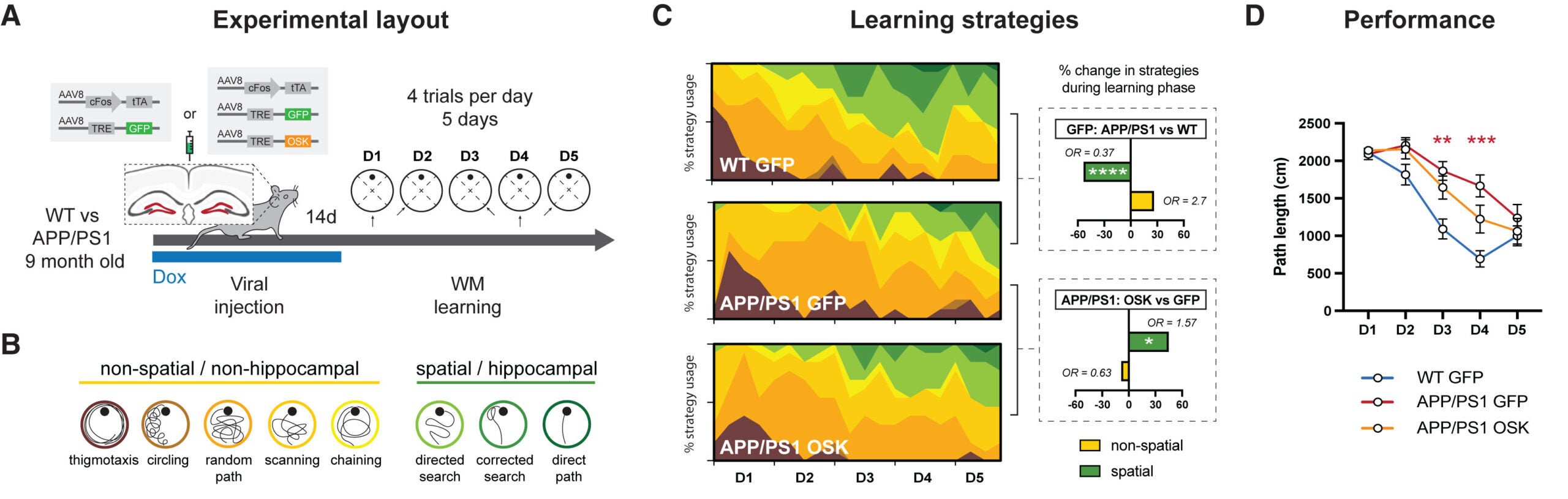 Partial reprogramming of engram cells rescues AD-related impairments in spatial memory