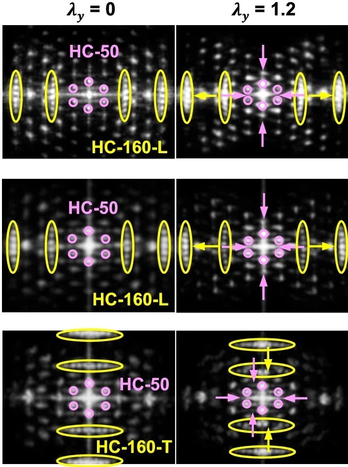 Mechanical characterizations of synthetic hydrogel material system with various designs.