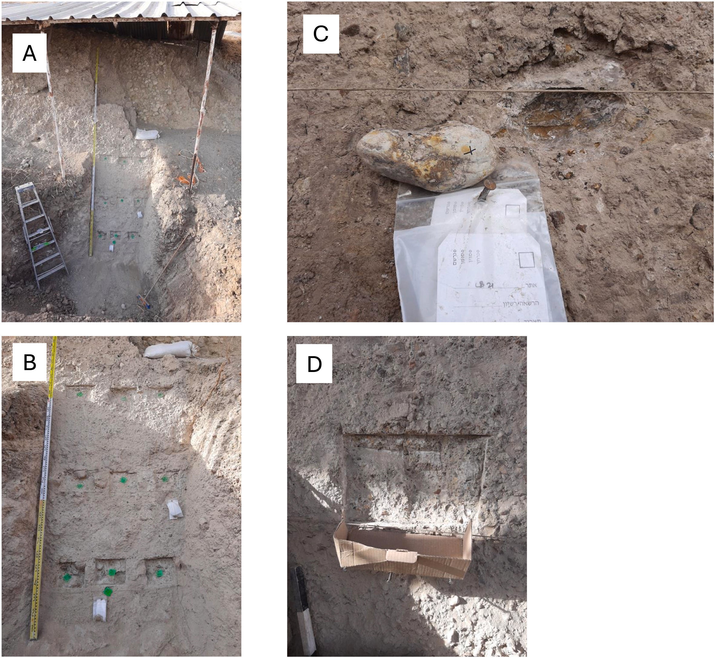 A. Photo of unit I-26. The upper 3 m of the tilted unit were exposed during archeological excavations in the 1960s-1970s. The lower 2 m were exposed for this study.
