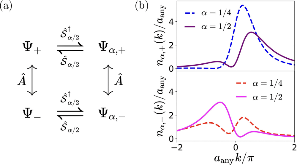 (a) Bosonic-anyon–fermionic-anyon mapping that connects Ψ+, Ψ−, Ψα,+, and Ψα,−. (b) Momentum distributions (top) nα,+(k) and (bottom) nα,−(k) for three identical free-space bosonic anyons and fermionic anyons, respectively, with α=1/4 (dashed lines) and α=1/2 (solid lines).