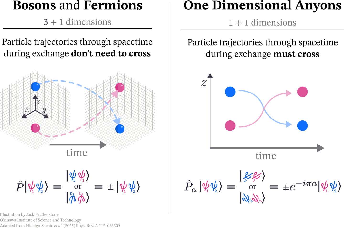 In three dimensions (plus one time dimension), particles do not cross paths (or braid) when exchanging places, as their trajectories through time can easily be unwound – this is topologically equivalent to doing nothing.