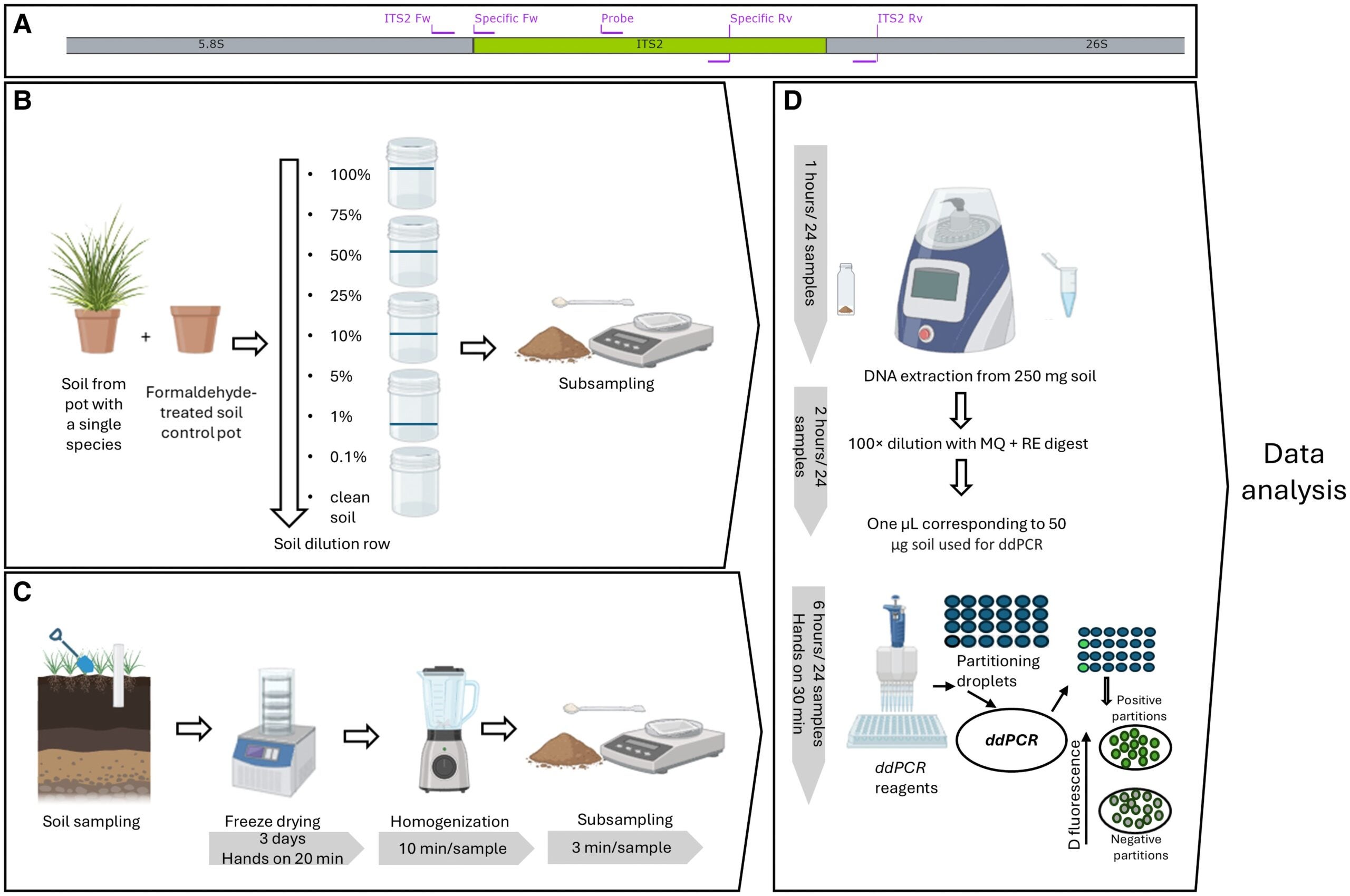 Outline of workflows and key concepts.