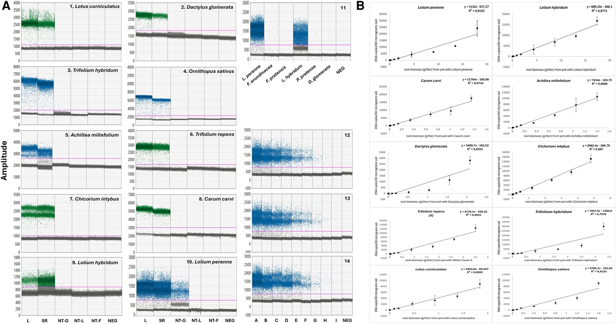 Validating probes and generating standard curves.