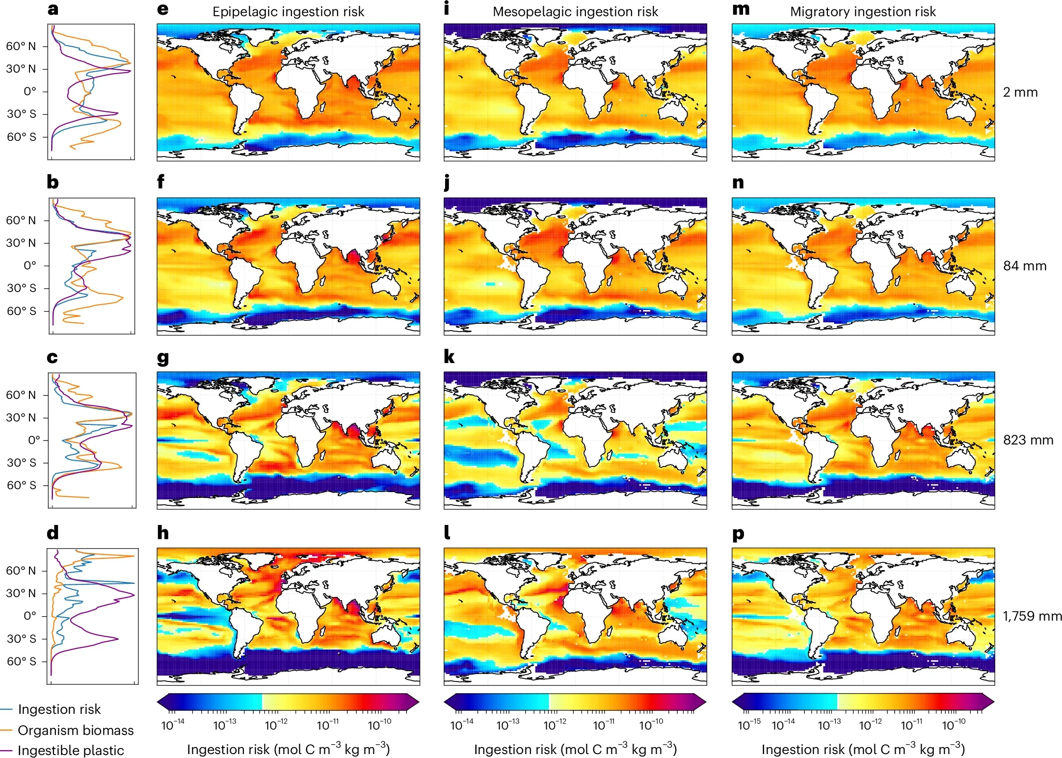 Plastic ingestion risk by marine organism size and type.