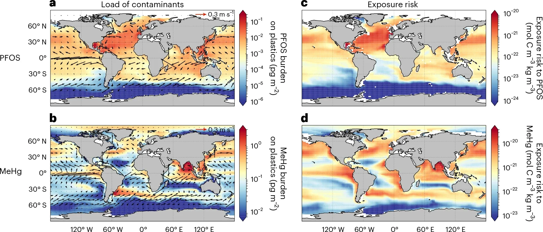 Global distribution of and exposure risk of organisms to pollutants adsorbed and conveyed by plastics.