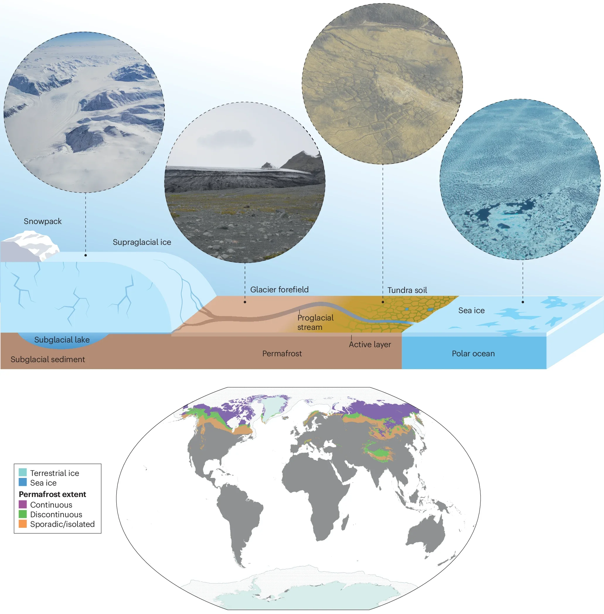 The global cryosphere.