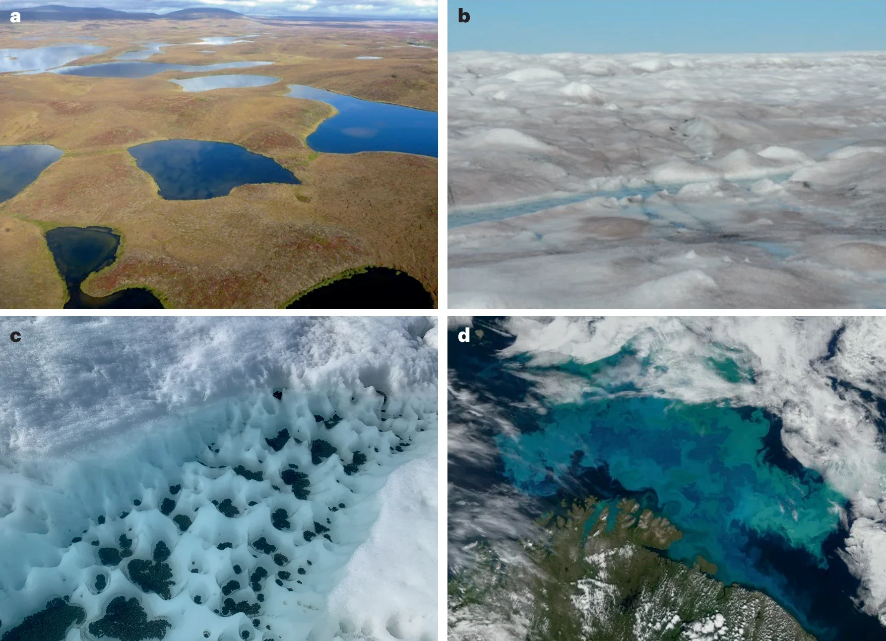 Cryosphere environments undergoing rapid change.