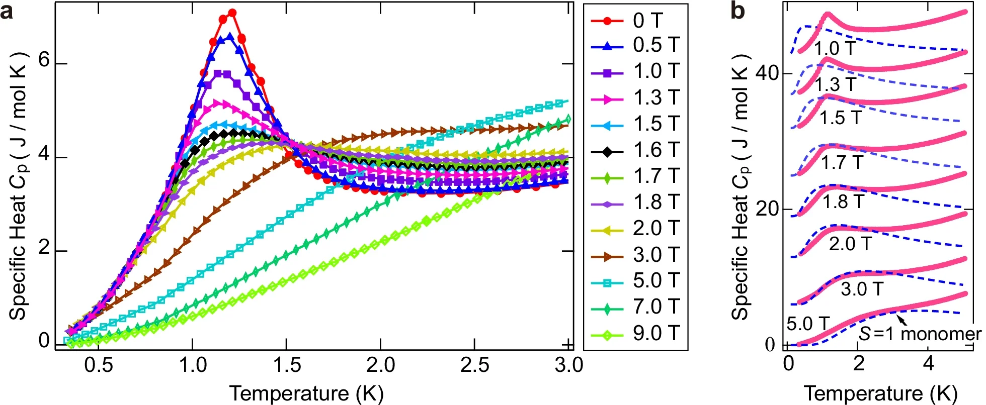 Temperature dependence of the specific heat Cp.