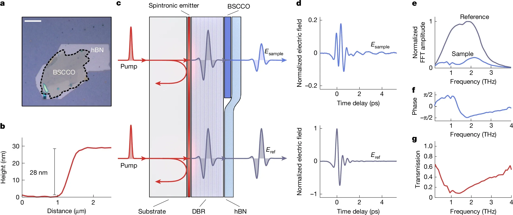 THz microspectroscopy of few-layer Bi2Sr2CaCu2O8+x.