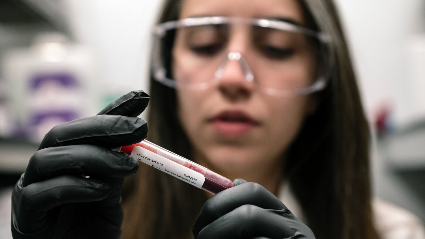 Red blood cells act as hidden glucose sponges in low-oxygen conditions, explaining why people living at high altitude have lower diabetes rates.