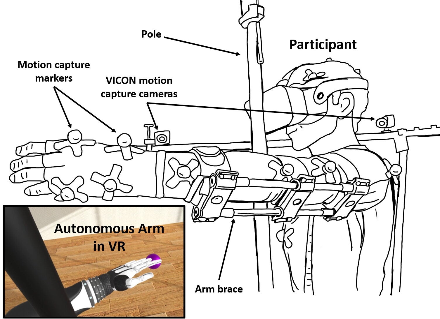 A physical pole was placed in front of the participant and matched in VR to prevent direct reaching and to ensure that target acquisition relied on the prosthetic arm flexion.