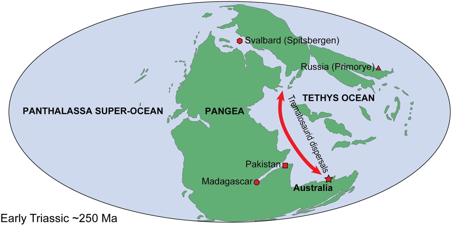 Early Triassic (∼250 Ma) paleobiogeographic distributions of Erythrobatrachus noonkanbahensis (star) and Aphaneramma in Australia (star)