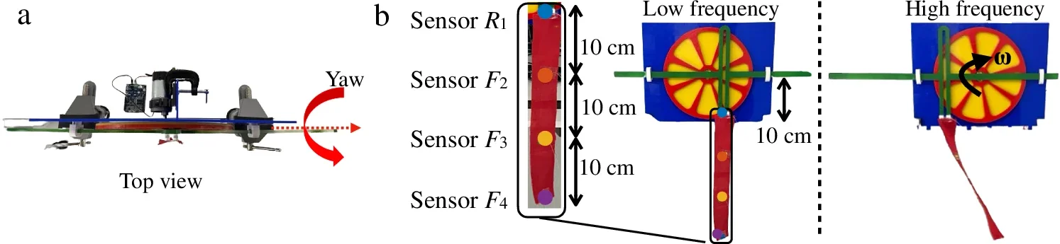 Experimental setup for movements of different frequencies.
