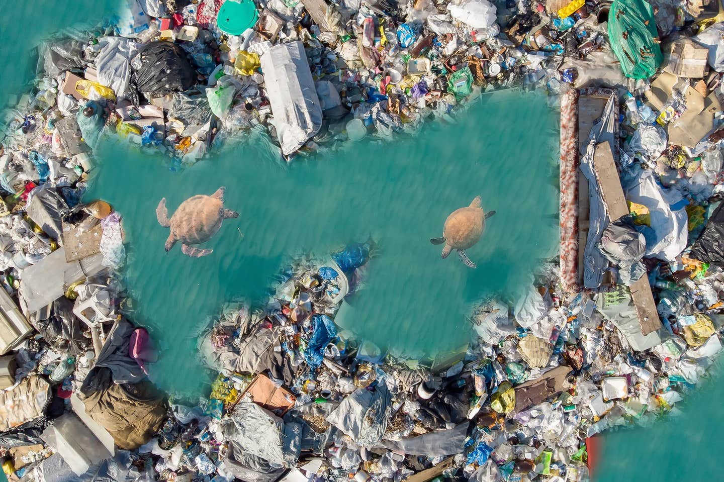 A sweeping global study shows plastic pollution threatens ocean life in complex and often hidden ways.