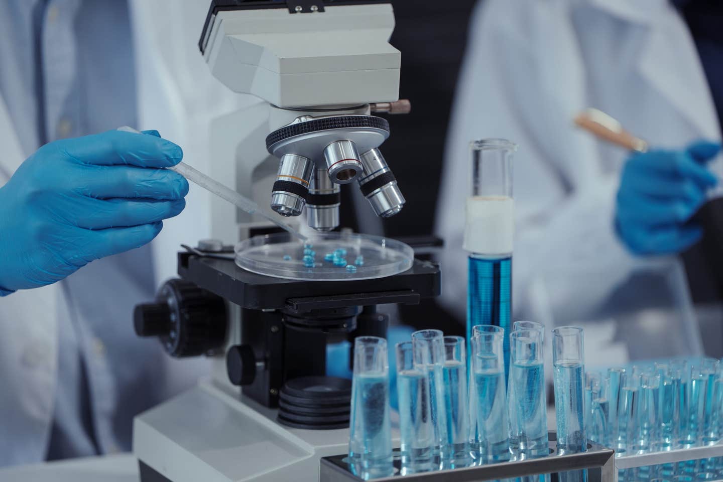 New research shows aggressive cancer cells can be identified by how they grip and move, without genetic or chemical tests.