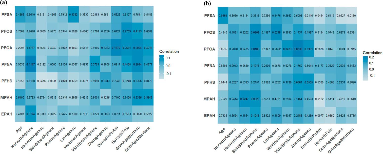 (a) Spearman correlation coefficients of age, polyfluoroalkyl chemicals and 12 DNAm aging algorithms at NHANES 1999–2000 in 50–64 years; (b) Spearman correlation coefficients of age, polyfluoroalkyl chemicals and 12 DNAm aging algorithms at NHANES 1999–2000 in ≥65 years.