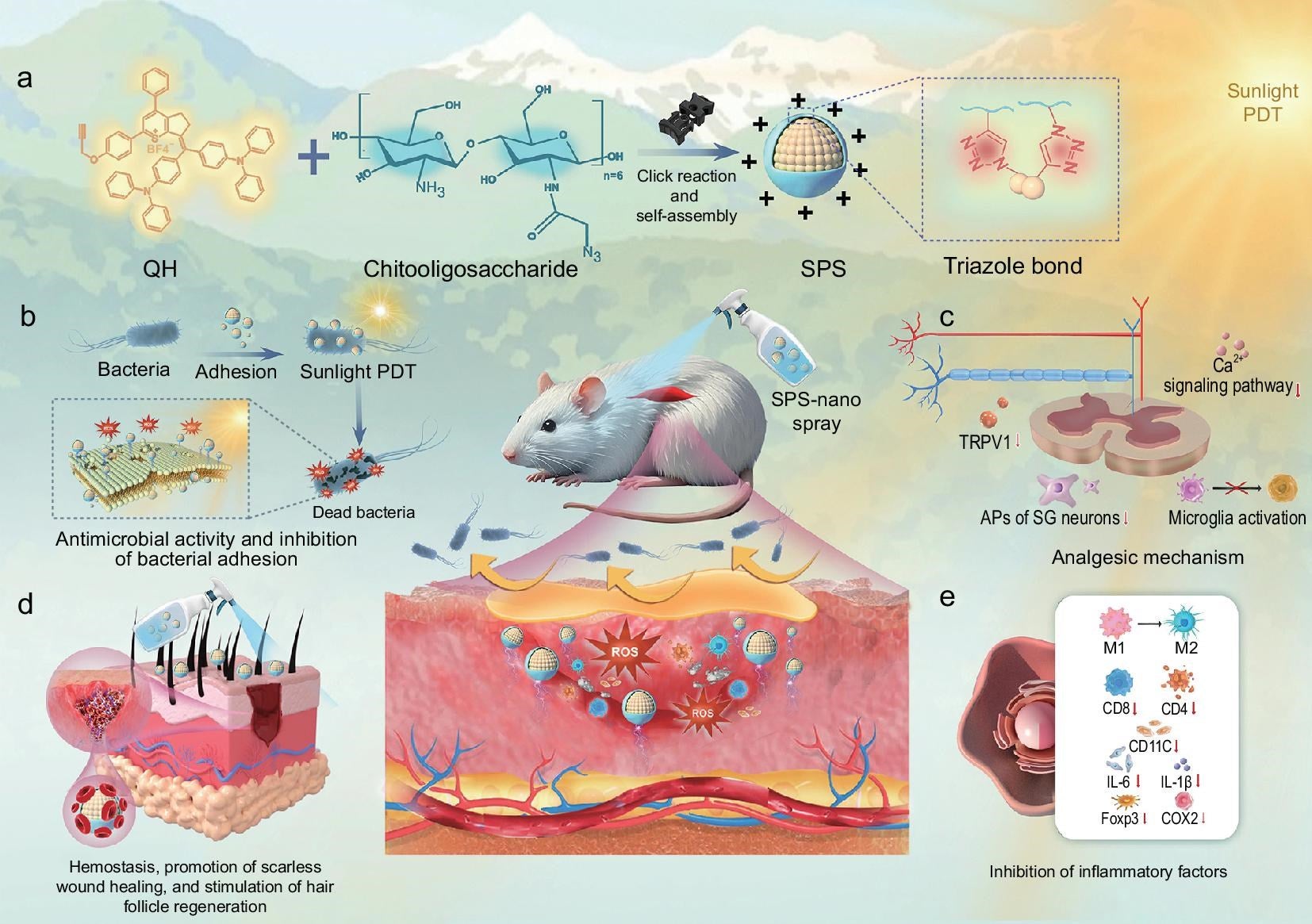 Construction of SPS-nanospray.