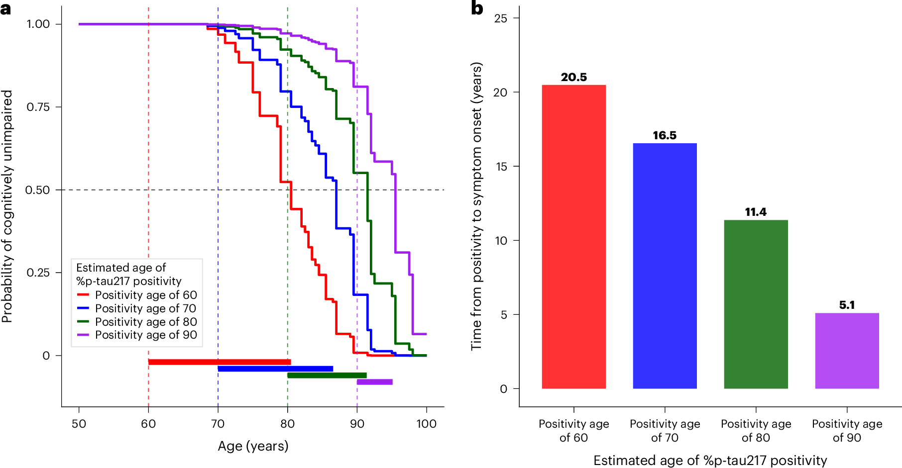 Probability of remaining cognitively unimpaired from AD is related to age at plasma %p-tau217 positivity.