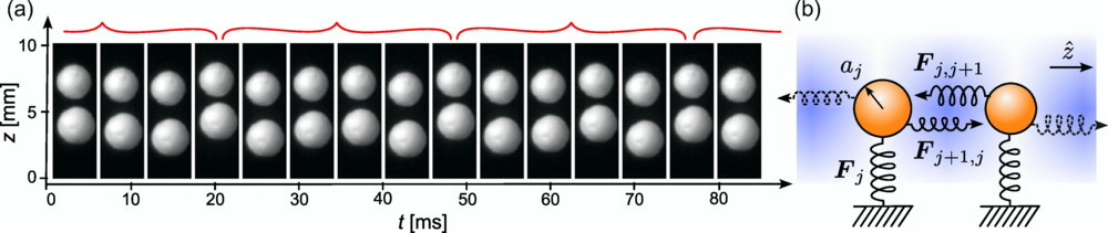 Experimental realization of a steady-state time crystal composed of two millimeter-scale spheres of expanded polystyrene levitated in air by an acoustic standing wave at 40 kHz.