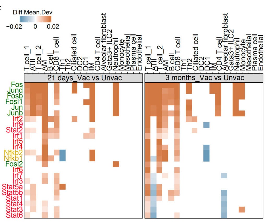 Heat map showing transcription factor (TF) different mean deviation scores at 21 days and 3 months post-vaccinations compared with naïve mice.