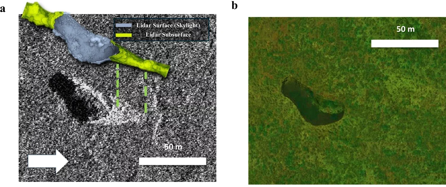 a Capella Space SAR image of the terrestrial analog (Jameo Agujerado, 29.165489N −13.453964E, Lanzarote, Spain) with the 3D Lidar scans and drone photogrammetry of the surface and the subsurface (Image adapted from ref. 24). b Satellite optical Image of Jameo Agujerado (WorldView-3 satellite, © Microsoft, Bing Maps, and its data providers).