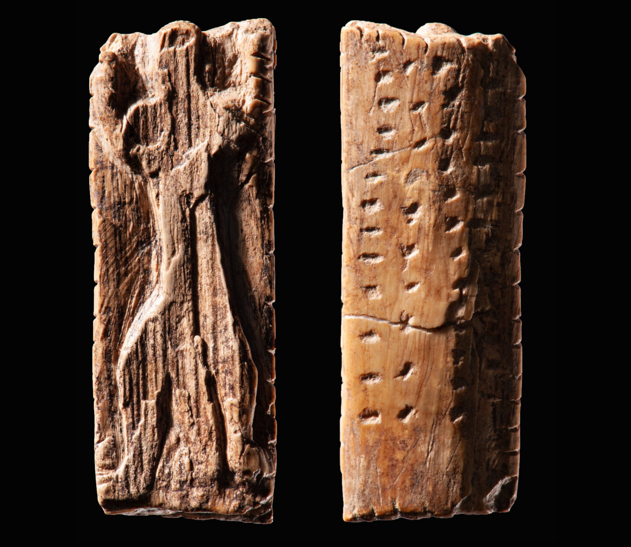 The Adorant figurine from Geißenklösterle Cave, approximately 38,000 years old, consists of a small ivory plate bearing an anthropomorphic figure and multiple sequences of notches and dots. The application of these marks suggests a notational system, most notably in the rows of dots on the back of the plate.