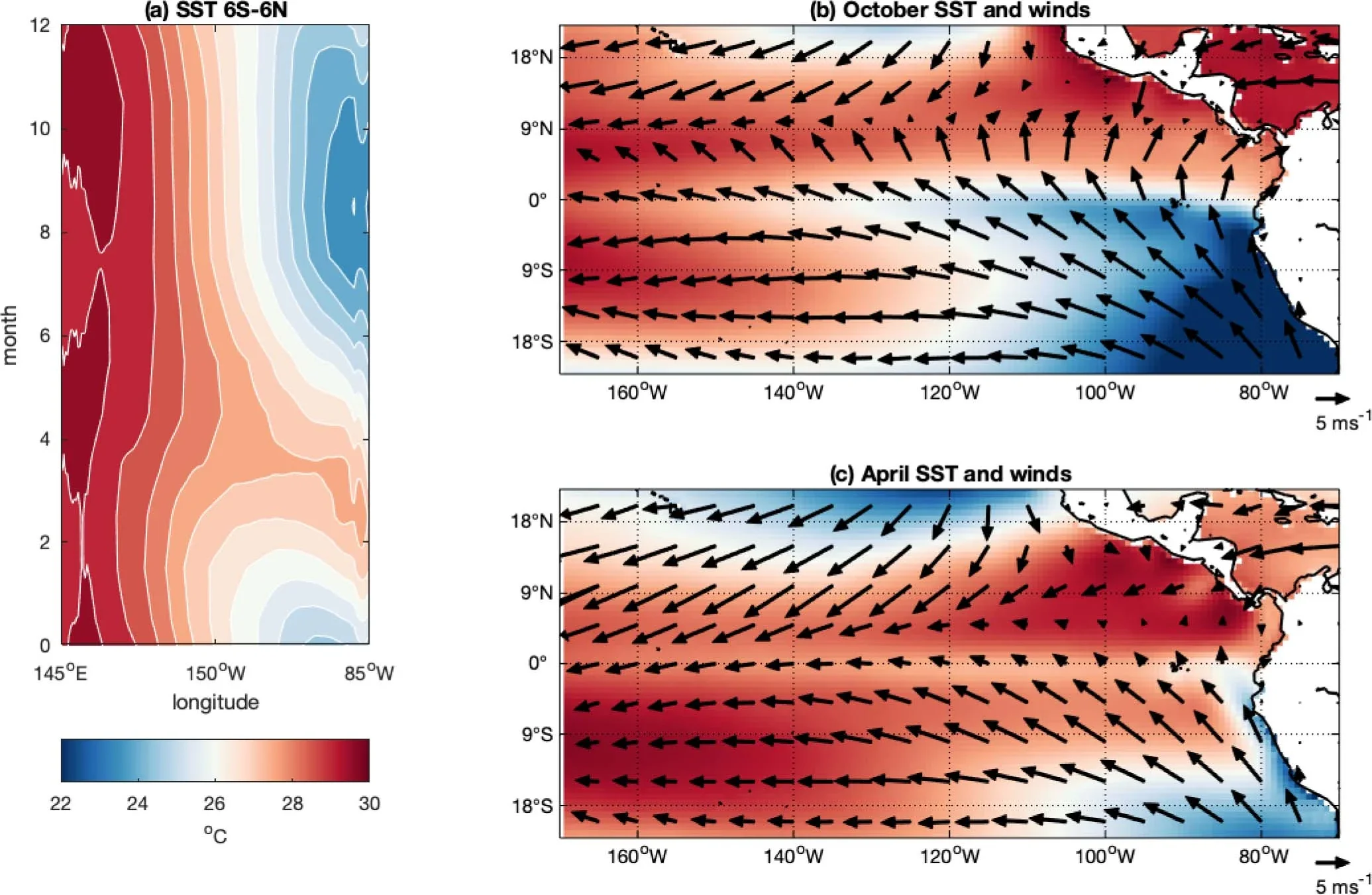 Modern-day observed Pacific cold tongue annual cycle. SST averaged over 6°S–6°N, showing the cold tongue annual cycle with the cold peak in boreal fall and warm peak in boreal spring.