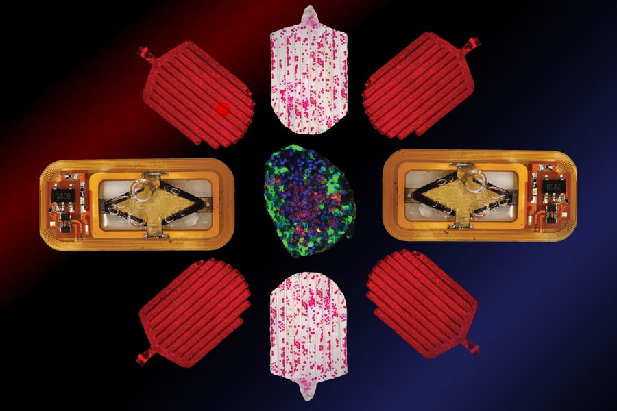 MIT researchers are developing an implantable device that contains insulin-producing cells.