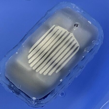 The implantable device encapsulates islet cells, protecting them from immune rejection. The device also carries an oxygen generator to keep the cells healthy.