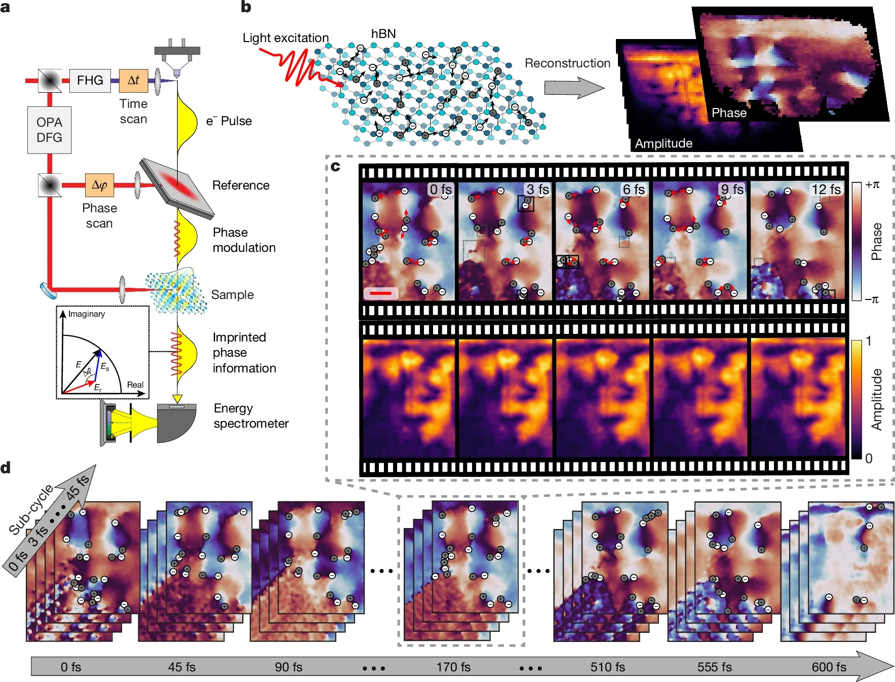 Deep sub-wavelength and deep sub-cycle imaging of optical phase singularities in hBN, recording both phase and group dynamics.