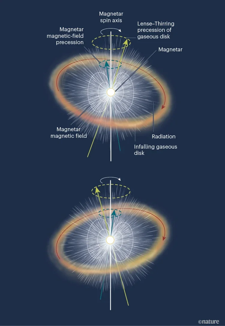 Precession around a spinning magnetar. Farah et al.2 report observations of 2024afav, an unusually bright supernova explosion, that indicate that it is powered by an ultra-magnetized neutron star known as a magnetar. 