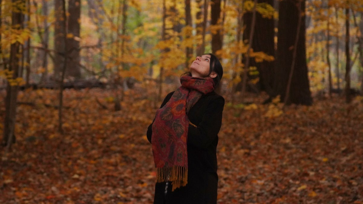 Their review produced the most complete picture of how our connections with nature can affect attention, stress, and emotional regulation.