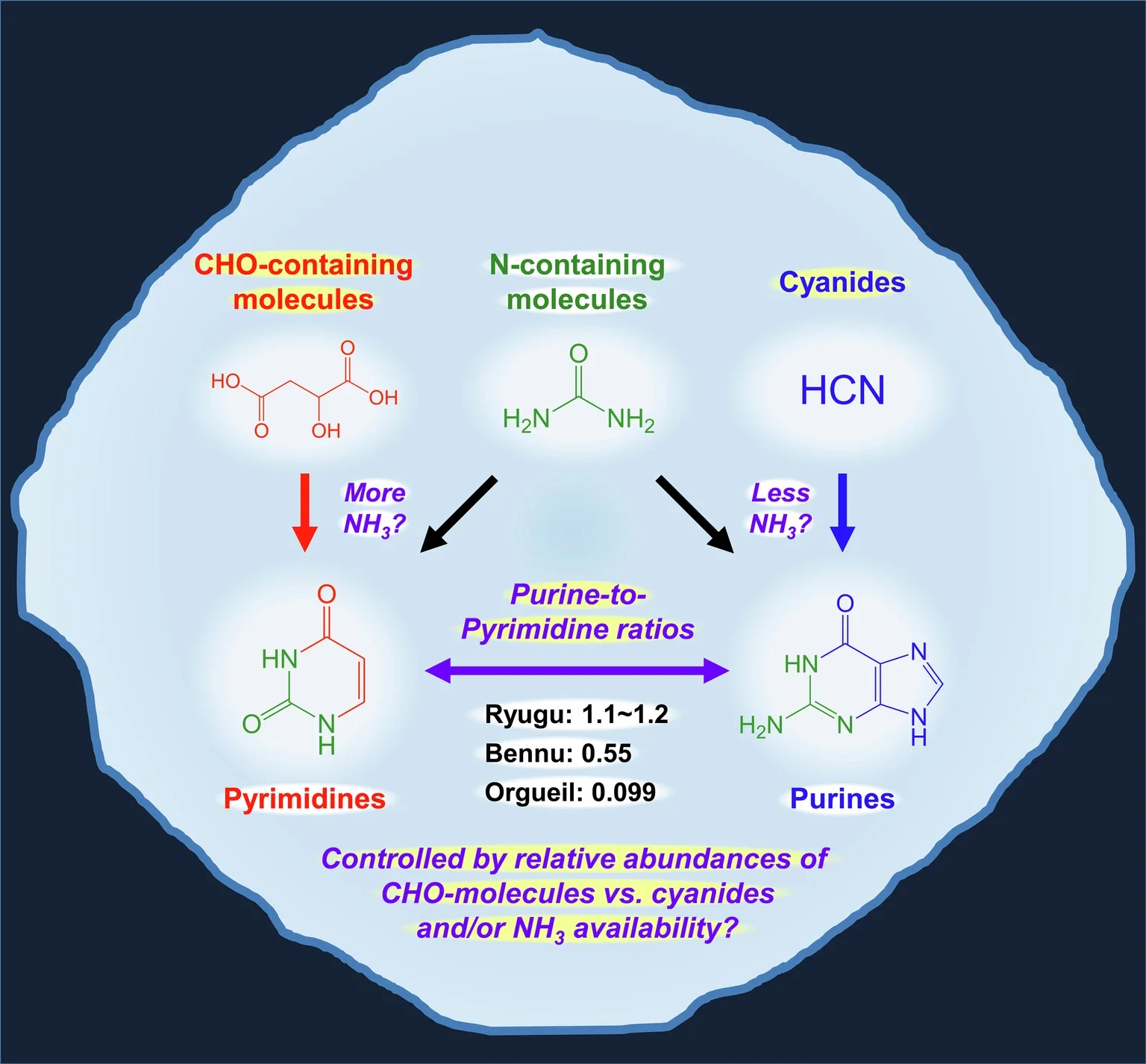 Conceptual view of nucleobase synthetic pathways occurred in parent bodies of Ryugu, Bennu, and Orgueil.