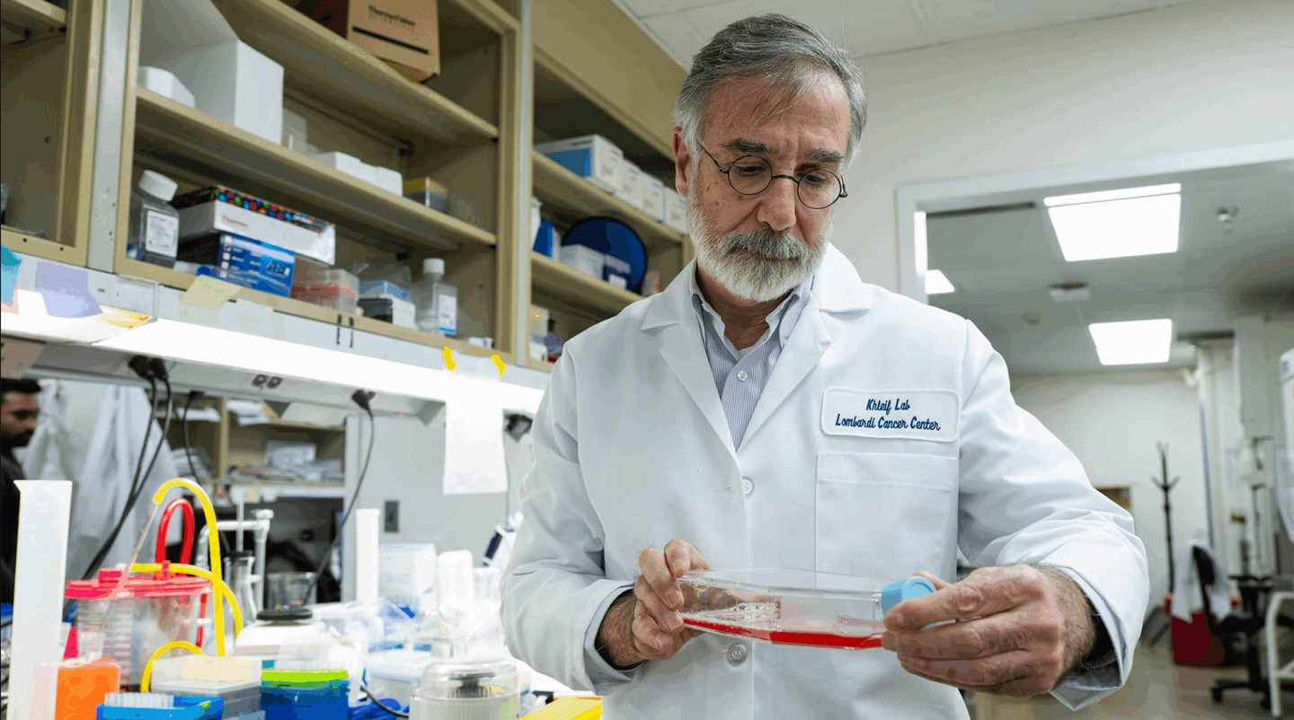 A Nature Immunology study suggests PARP inhibitors can reprogram CD8 T cells into longer-lasting “superior memory” cancer fighters.