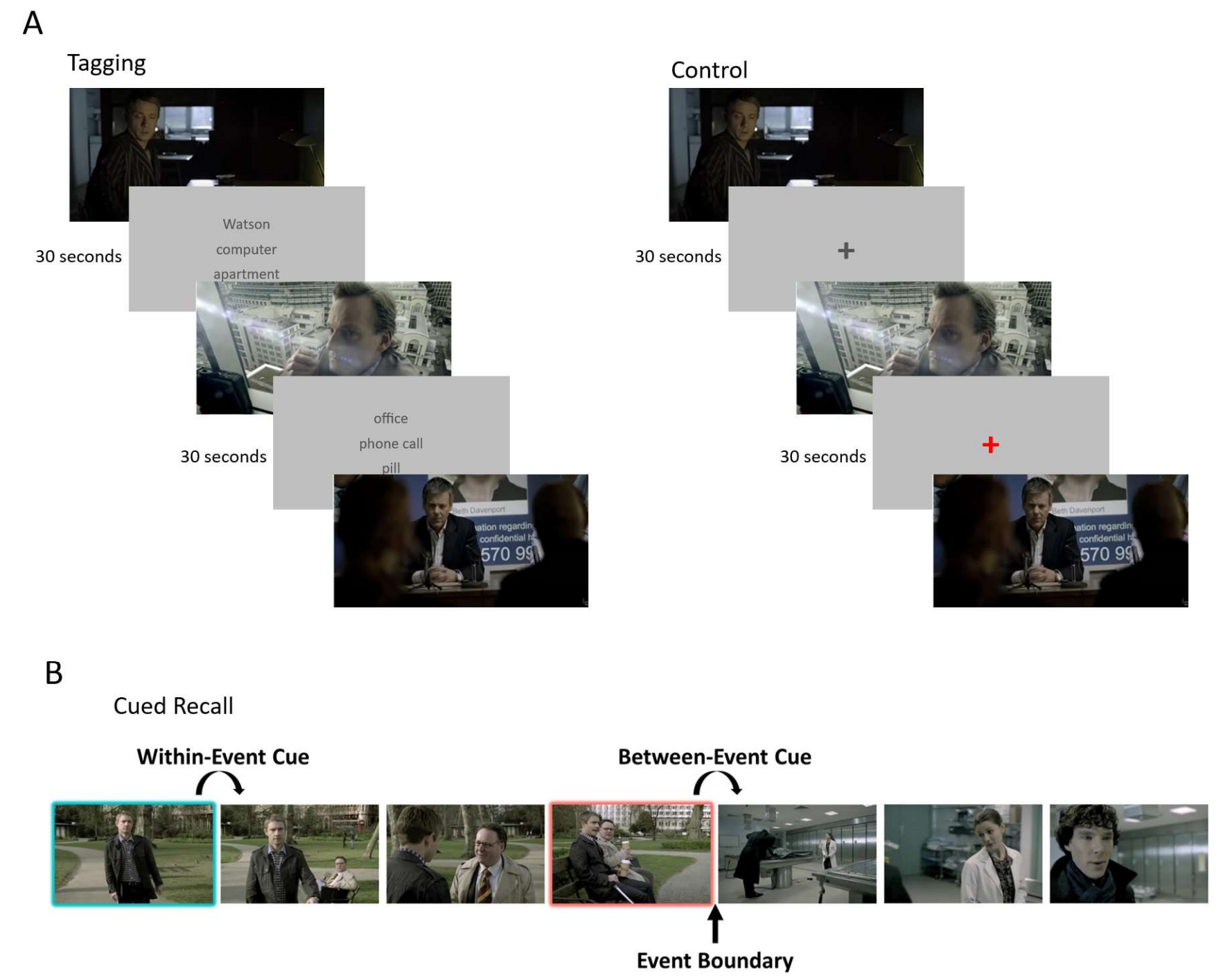 Intervention and cued recall paradigm. A) Tagging and control procedures and timing. B) Timeline reflecting the location of within- and between-event cues for the cued recall procedure.