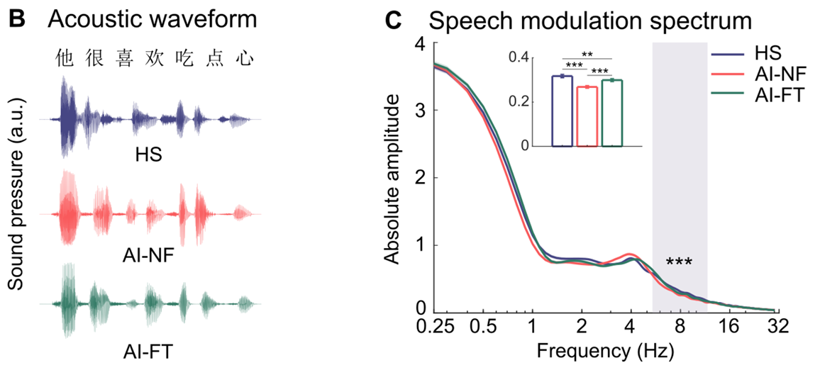 (B) Acoustic waveform of the utterance. The 1007 acoustic waveform corresponds to the Mandarin utterance "他很喜欢吃点心" (He enjoys eating 1008 desserts) produced by the male speaker. The y-axis represents the amplitude of the sound 1009 pressure level in arbitrary units (a.u.). (C) Speech modulation spectrum of various types of 1010 speech signals. The shaded box indicates the cluster that exhibited significant effects following 1011 a cluster-based permutation test.
