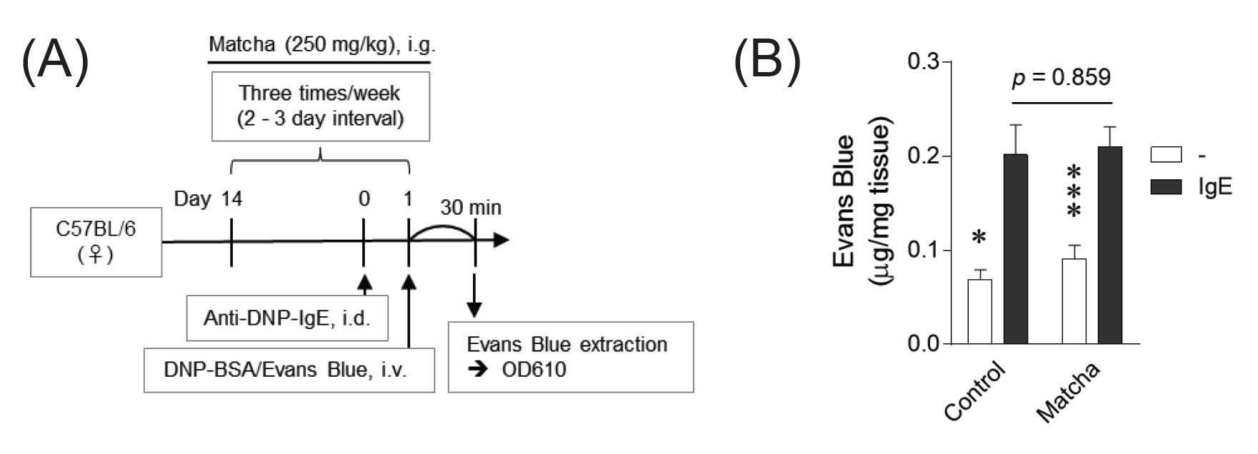 Effect of Matcha extract on mouse model of passive cutaneous anaphylaxis response.