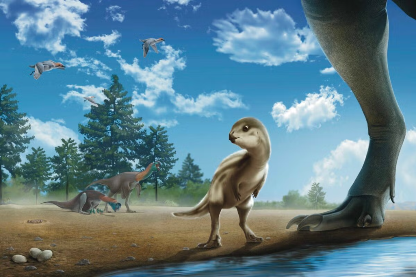 An artist’s interpretation of a juvenile Doolysaurus huhmini. It is depicted alongside birds and other dinosaurs that lived during the Cretaceous in what is now South Korea.