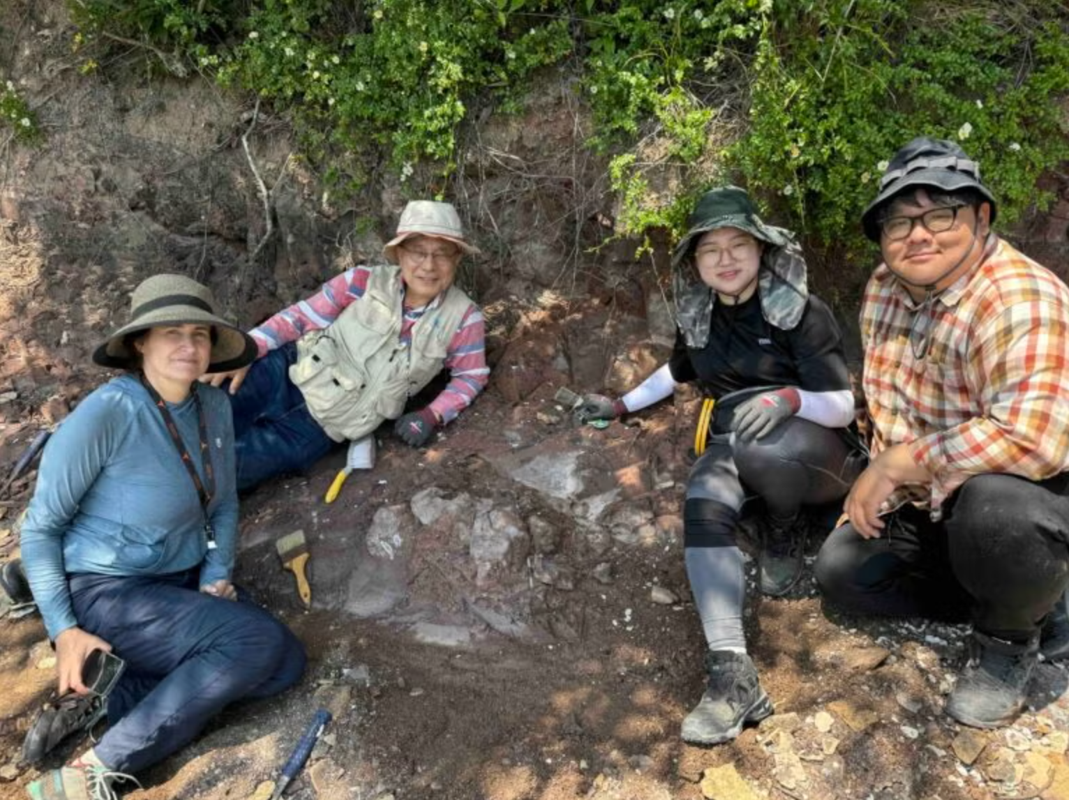 Researchers from The University of Texas at Austin and the Korean Dinosaur Center with a possible dinosaur skeleton on Aphae Island. From left to right: Julia Clarke, Min Huh, Hyemin Jo, Jongyun Jung. 