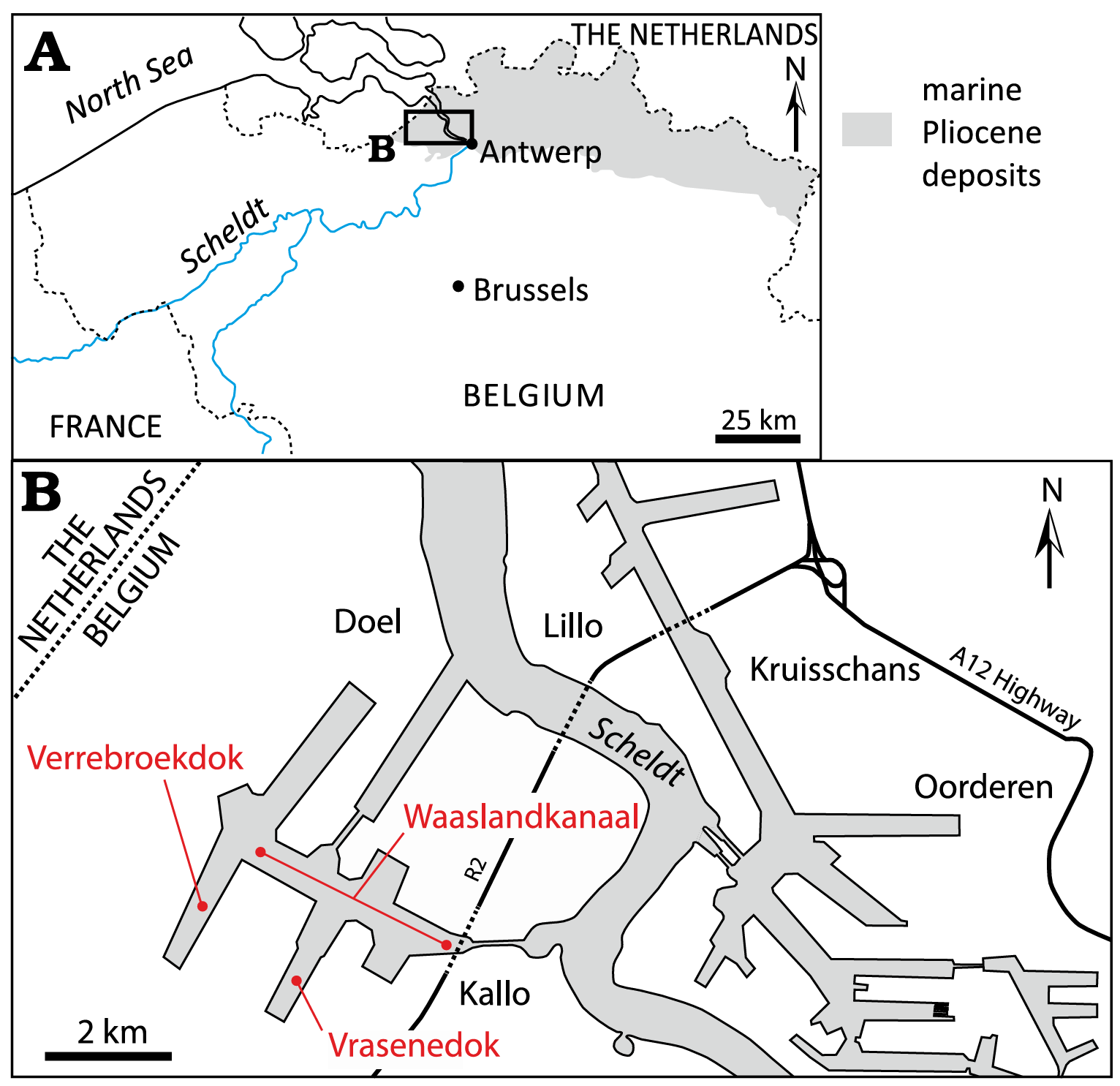  Location of the Port of Antwerp area on a map of northern Belgium. Grey shading indicates occurrence of marine Pliocene deposits. 