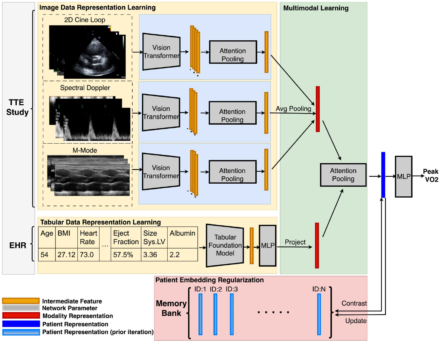 Illustration of the proposed Multimodal Multi-Instance Learning framework. The model extracts modality-specific representations from each TTE modality using a multi-instance learning approach, and from EHR data using a tabular foundation model. 