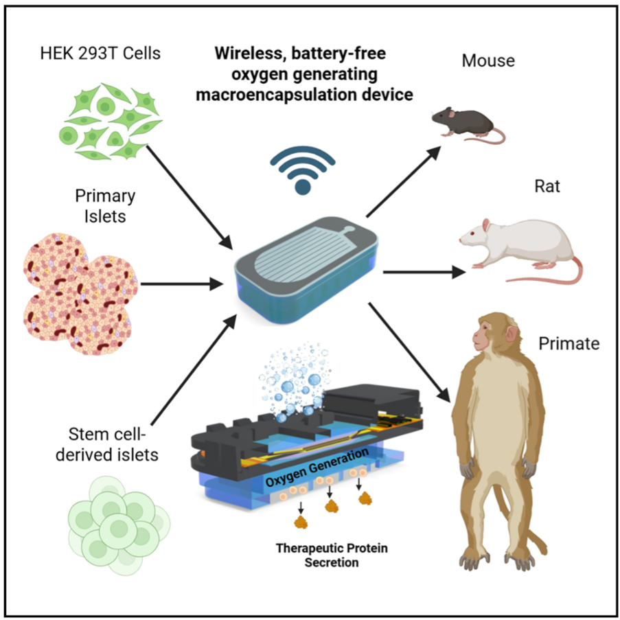 Graphical abstract of the study. Implantable devices with in vivo robustness >90 days and autoclave compatibility.