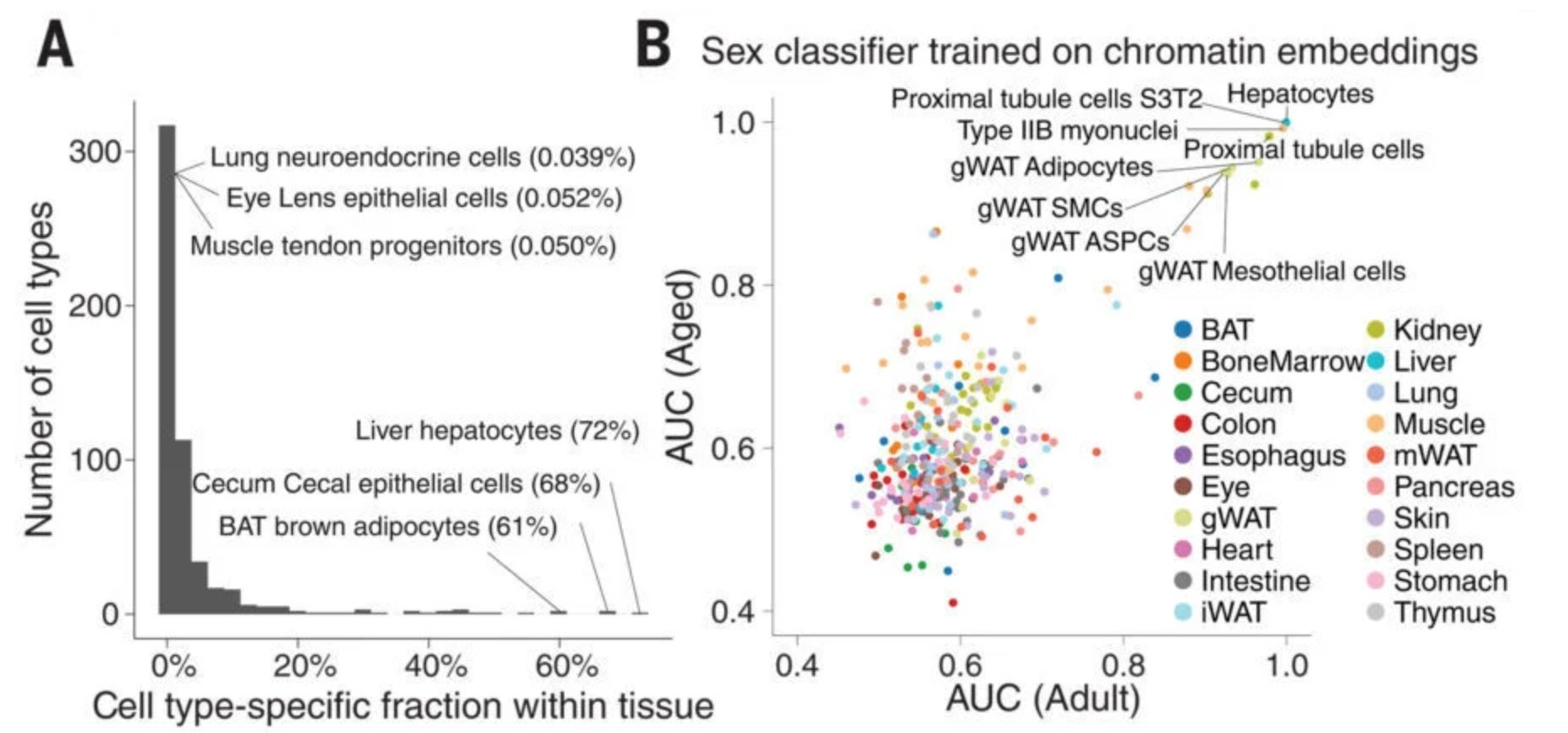 Age- and sex-dependent cell population changes at the main cell type level.