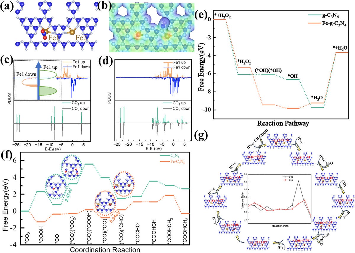 DFT calculation of reaction pathways on Fe@C3N4 SAC and C3N4 photocatalysts via cascade photocatalysis.