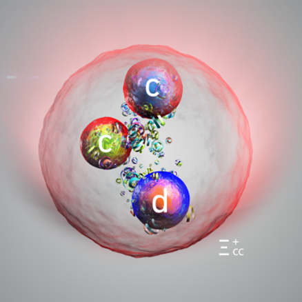 The particle, known as the Ξcc⁺ (Xi‑cc‑plus), is a new type of heavy proton-like particle containing two charm quarks and one down quark.