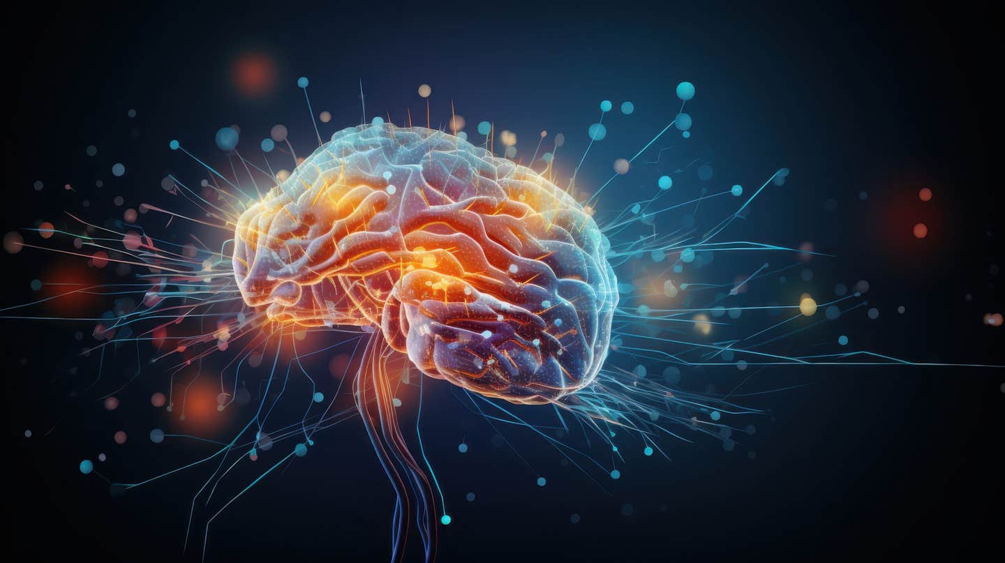 A new MIT study suggests astrocytes, once seen as support cells, may play a central role in memory storage and brain capacity.