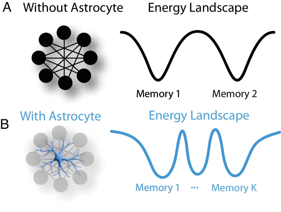For a fixed number of neurons, the neuron–astrocyte network is capable of storing many more memories than the neuron-only network. 