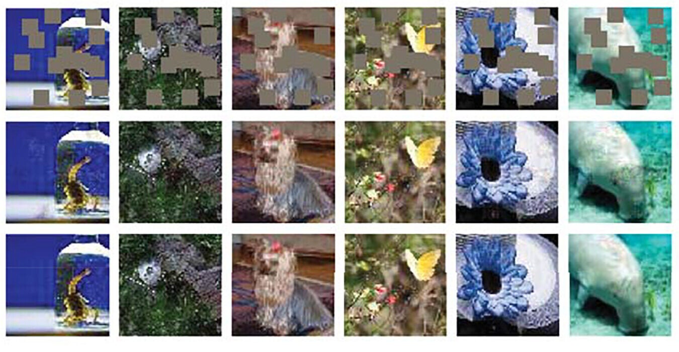 Error-correcting capabilities of the neuron–astrocyte network, trained with backpropagation, demonstrated with images from the Tiny ImageNet dataset
