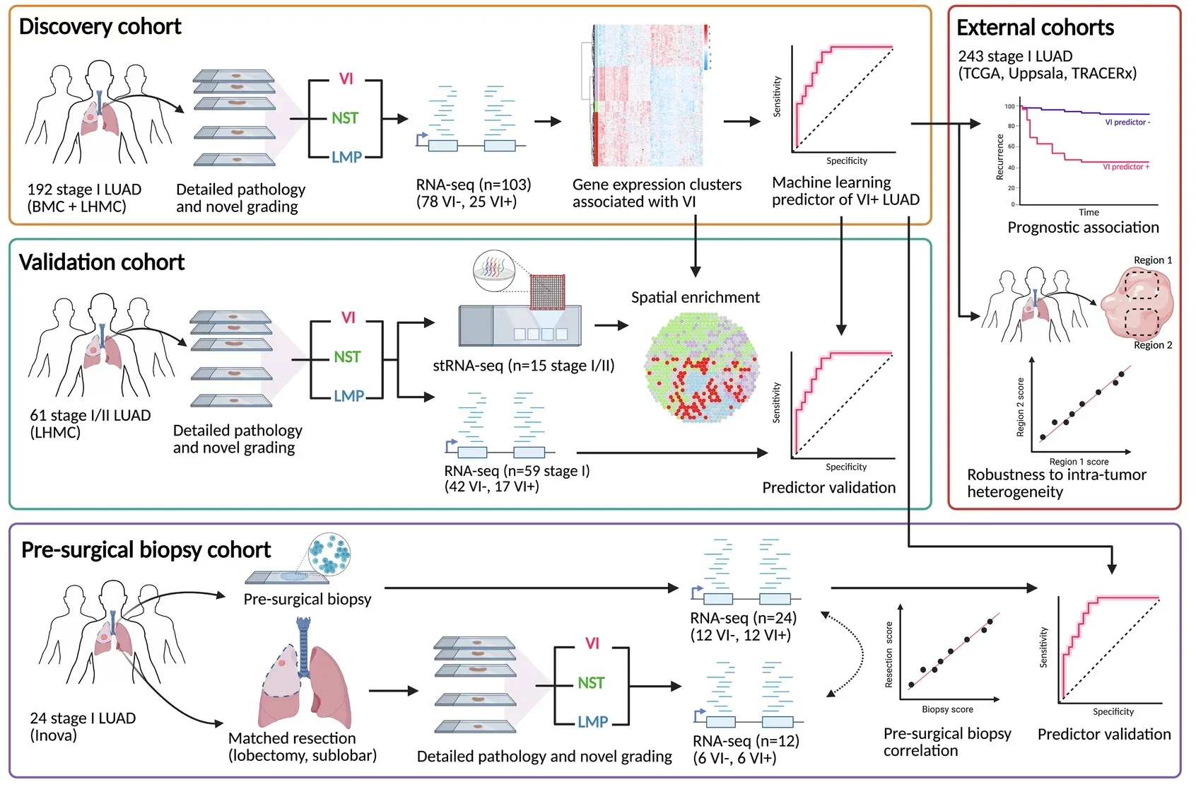 Study overview and distinct gene expression changes associated with VI in stage I LUAD.